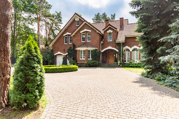 Best Affordable Driveway Paving  in Johnsonville, SC