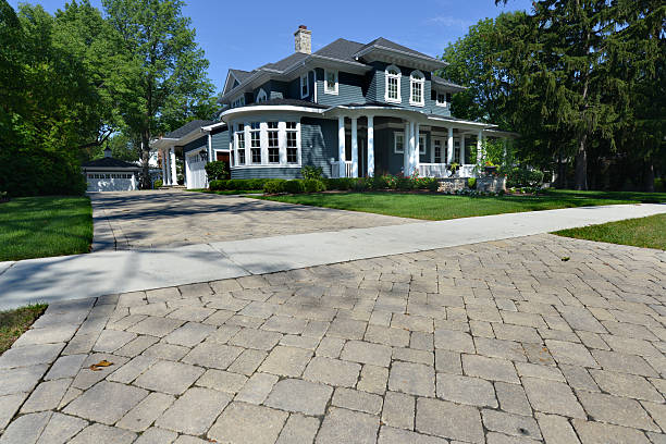 Best Local Driveway Pavers  in Johnsonville, SC